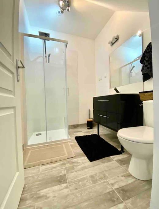 Appartement Centre Ville Saint-Amand-Mont-Rond Kültér fotó